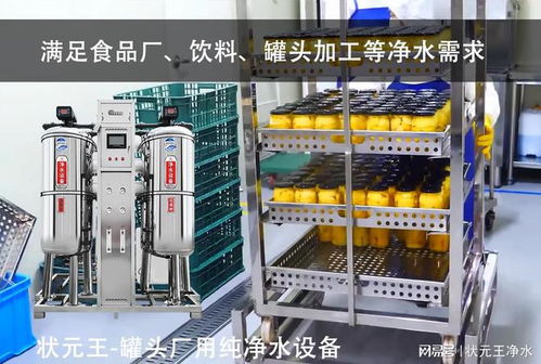 狀元王純凈水設備 助力罐頭飲料廠實現高效凈水方案